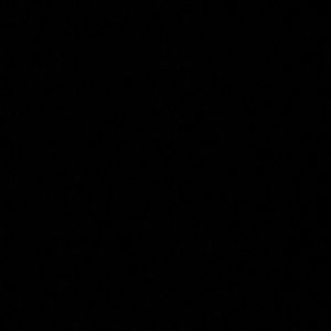 Meet your Posher, Cierra